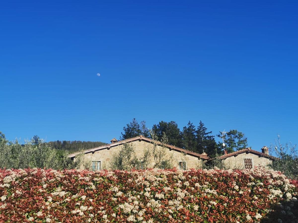 Il Cerro Pelago Exterior foto