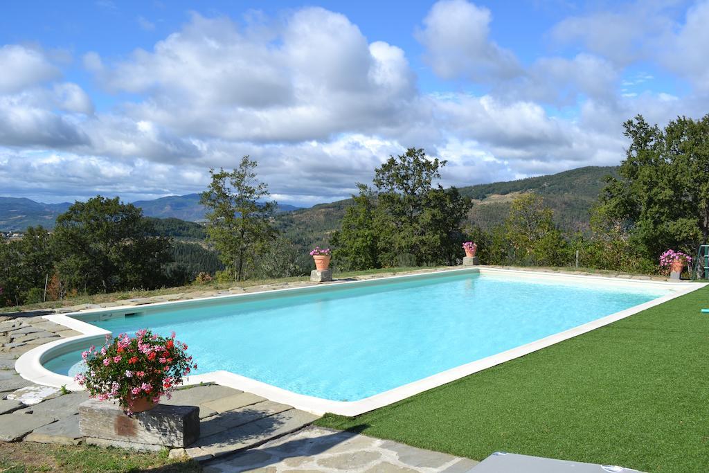 Il Cerro Pelago Quarto foto